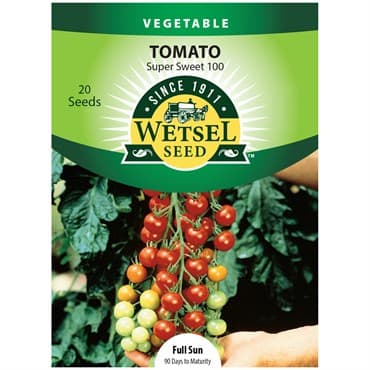 Tomato, Super Sweet 100 20 Seed Count — photo 1 of 2