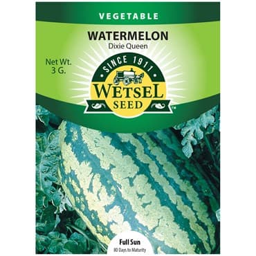 Watermelon, Dixie Queen 3 Grams — photo 1 of 2