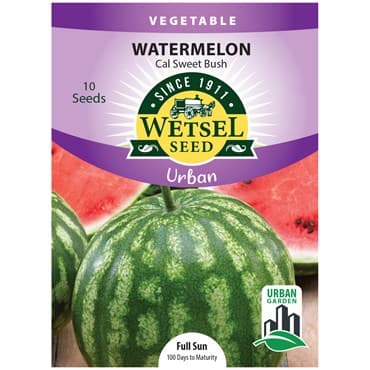 Watermelon, California Sweet Bush ( Patio ) 10 Seed Count — photo 1 of 2