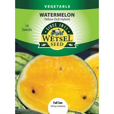 Watermelon, Yellow Doll Hybrid 10 Seed Count — photo 1 of 2