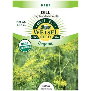 Dill, Organic Mammoth 1.35 Grams — photo 1 of 2
