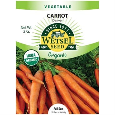 Carrots, Organic Danver 2 Grams — photo 1 of 2