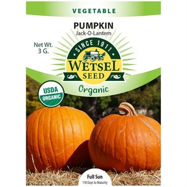 Pumpkin, Organic Jack O Lantern 3 Grams — photo 1 of 2