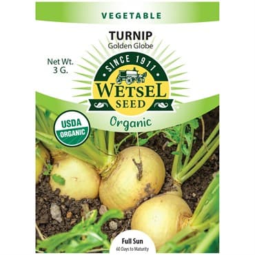 Turnips, Organic, Golden Globe 3 Grams — photo 1 of 2
