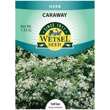 Caraway 1.35 Grams — photo 1 of 2