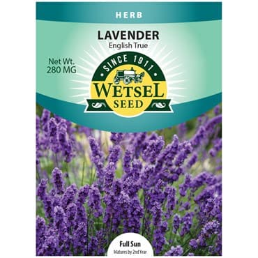 Lavender, English True 280mg — photo 1 of 2