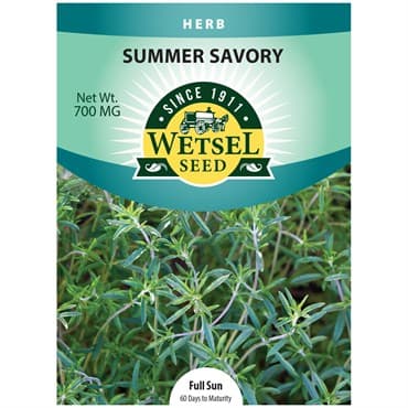 Summer Savory 700mg — photo 1 of 2