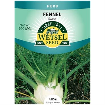Fennel, Sweet 700mg — photo 1 of 2