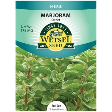 Marjoram, Sweet 175mg — photo 1 of 2