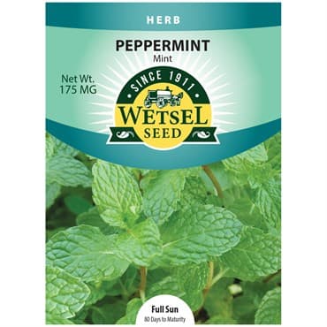 Peppermint, Mint 175mg — photo 1 of 2