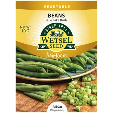 Beans, Heirloom Blue Lake Bush 10 Grams — photo 1 of 2
