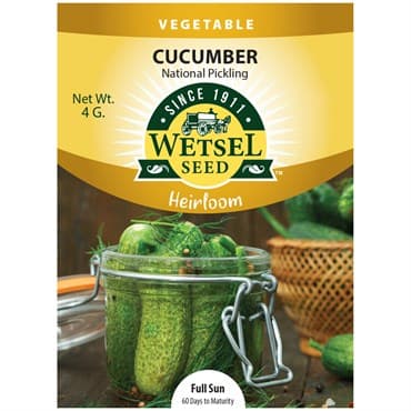 Cucumber, Heirloom National Pickling 4 Grams — photo 1 of 2