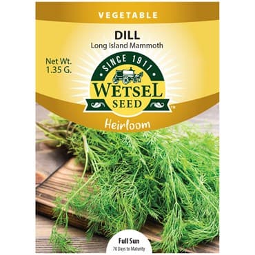 Dill, Heirloom Long Island 1.35 Grams — photo 1 of 2