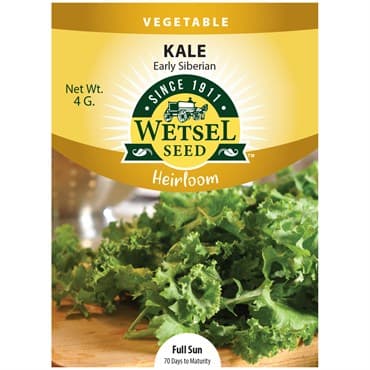 Kale, Heirloom Early Siberian 4 Grams — photo 1 of 2