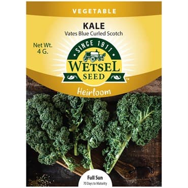 Kale, Heirloom Vates Blue Curled 4 Grams — photo 1 of 2