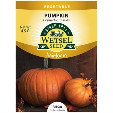 Pumpkin, Heirloom Connecticut Field 4.5 Grams — photo 1 of 2