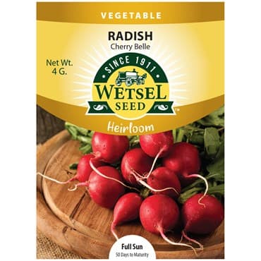 Radish, Heirloom Cherry Belle 4 Grams — photo 1 of 2