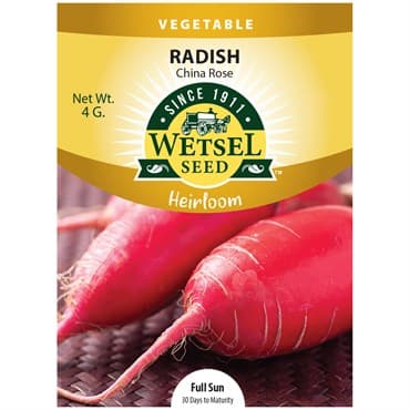Radish, Heirloom China Rose 4 Grams — photo 1 of 2