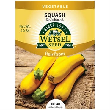 Squash, Heirloom Straightneck 3.5 Grams — photo 1 of 2