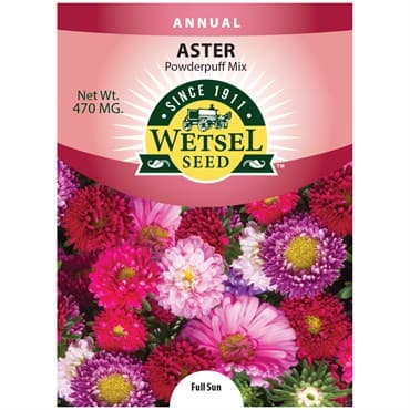 Aster, Powderpuff 470mg — photo 1 of 2