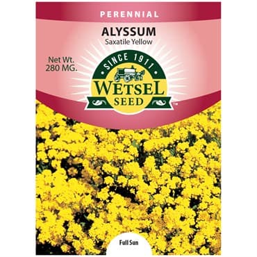 Alyssum, Saxatile Yellow 280mg — photo 1 of 2