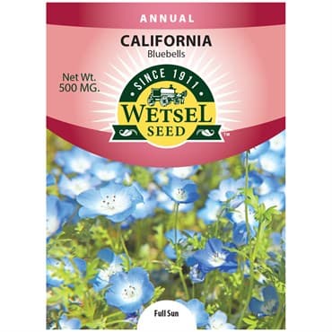 California Bluebells 500mg — photo 1 of 2