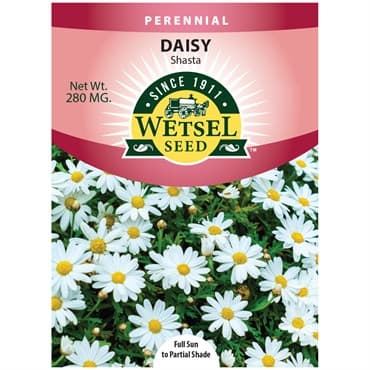 Daisy, Shasta Single 280mg — photo 1 of 2