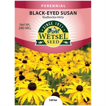 Daisy, Rudbeckia Hirta 280mg — photo 1 of 2