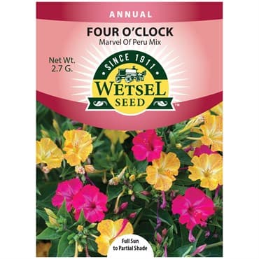 Four O'clock, Marvel of Peru 2.7 Grams — photo 1 of 2