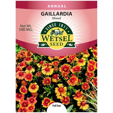 Gaillardia, Mixed 590mg — photo 1 of 2