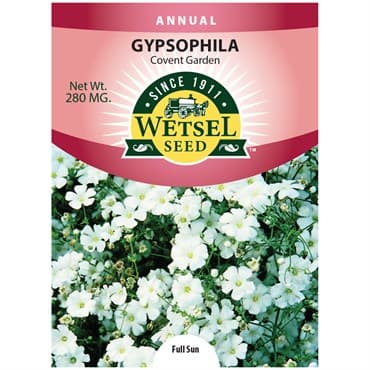 Gypsophila, Covent Garden 280mg — photo 1 of 2