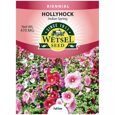 Hollyhock, Indian Spring 470mg — photo 1 of 2