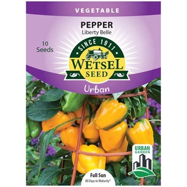 Peppers, Liberty Belle ( Patio ) 10 Seed Count — photo 1 of 2