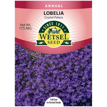 Lobelia, Crystal Palace 175mg — photo 1 of 2
