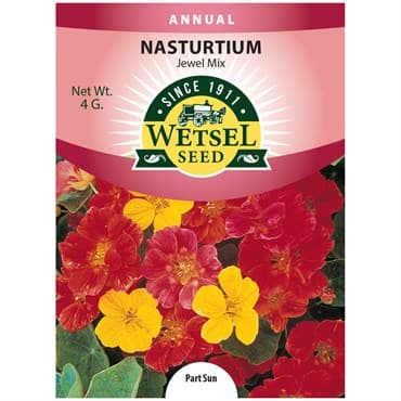 Nasturtium, Jewel Mix 4 Grams — photo 1 of 2