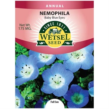 Nemophila, Baby Blue Eyes 175mg — photo 1 of 2