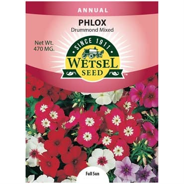 Phlox, Drummond Mix 470mg — photo 1 of 2