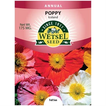 Poppies, Iceland 175mg — photo 1 of 2