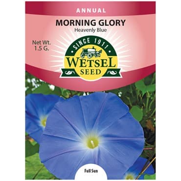 Morning Glory, Heavenly Blue 1.5 Grams — photo 1 of 2