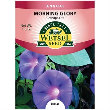 Morning Glory, Grandpa Ott 1.5 Grams — photo 1 of 2
