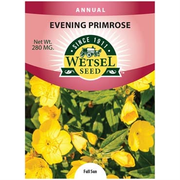 Evening Primrose 280mg — photo 1 of 2