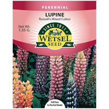 Lupine, Russell's Mix 1.35 Grams — photo 1 of 2