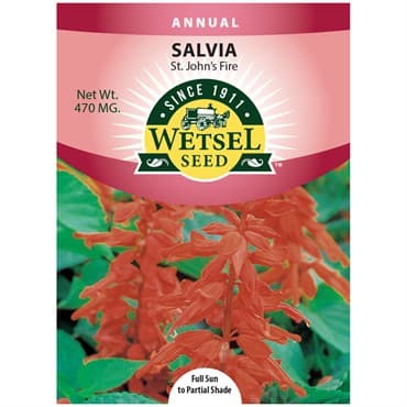Salvia, St. John's Fire 470mg — photo 1 of 2