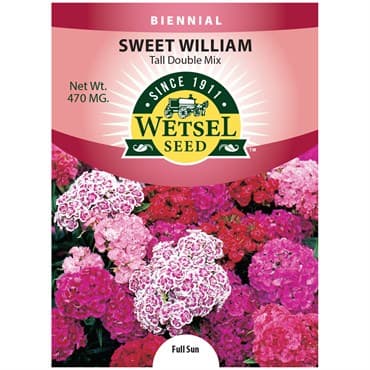 Sweet William, Tall Double Mix 470mg — photo 1 of 2