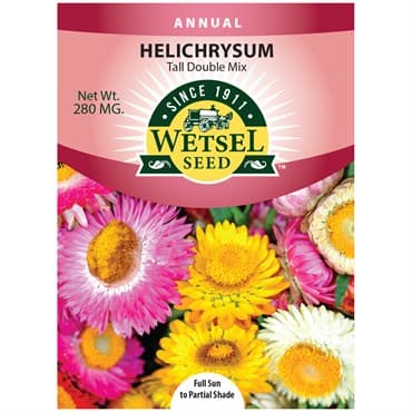 Helichrysum, Tall Double Mix 280mg — photo 1 of 2