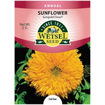 Sunflower, Sungold Dwarf 2 Grams — photo 1 of 2
