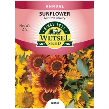 Sunflower, Autumn Beauty 2 Grams — photo 1 of 2