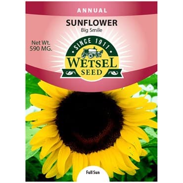 Sunflower, Big Smile 590mg — photo 1 of 2