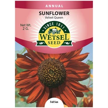 Sunflower, Velvet Queen 2 Grams — photo 1 of 2