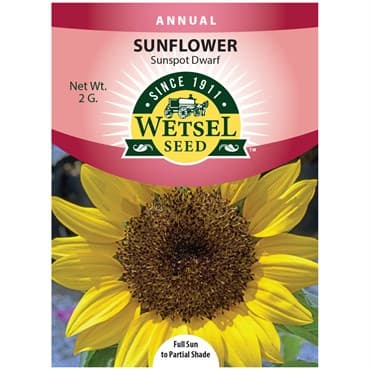 Sunflower, Sunspot Dwarf 2 Grams — photo 1 of 2
